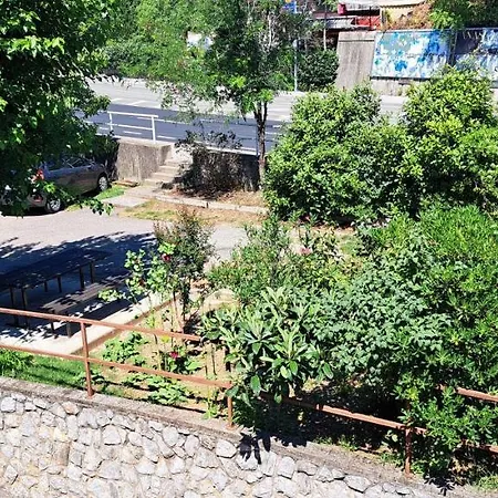 Saradora